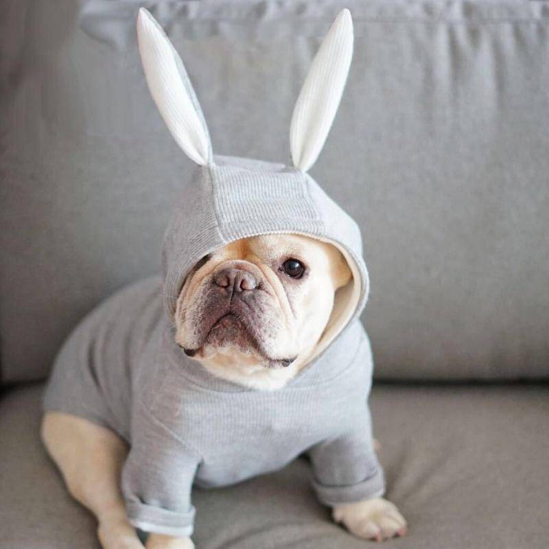 Sweater Hoodie with Bunny Ears
